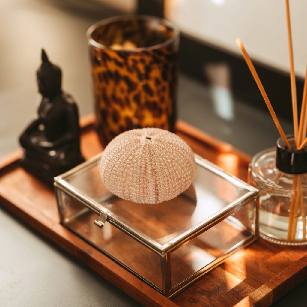 Still life home decor decoration with sea โโurchin shell